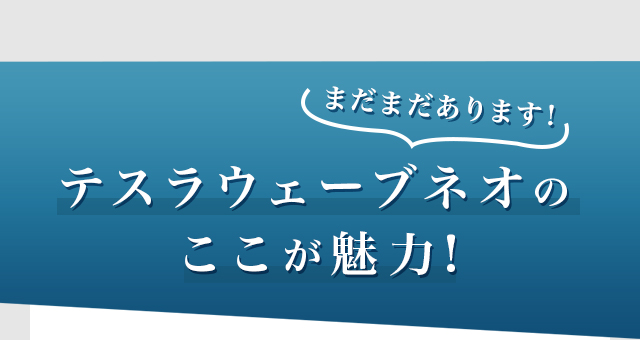 まだまだあります！テスラウェーブネオのここが魅力！