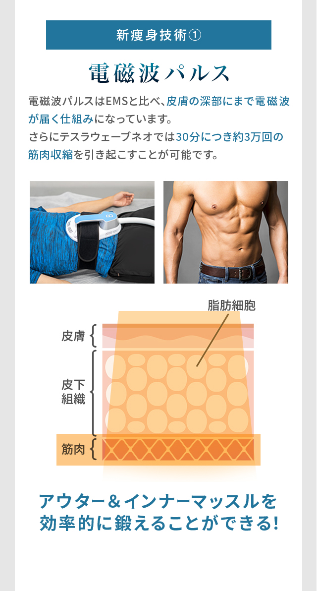 新痩身技術 1.電磁波パルスで30分3万回の筋肉運動 効率・効果的な筋肉運動が可能